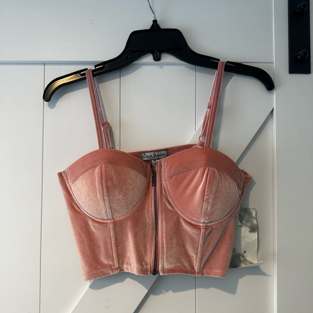 Almost Famous Pink Velour Crop Top